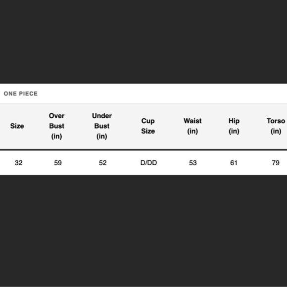 NWT Swimsuits For All One Piece Gray Black Graphic Criss Cross High Neck sz 32 - Picture 16 of 16